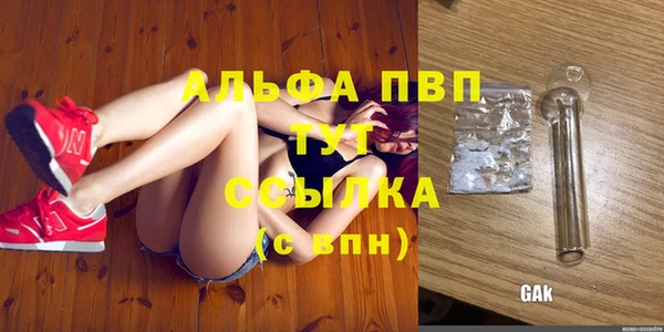 молекула духа Беломорск